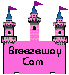 BREEZEWAY CAM