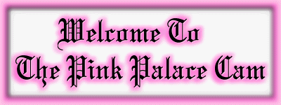 WELCOME TO THE PINK PALACE!